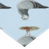 Nappe Hibou italien Grizzle Pigeon (Angle)