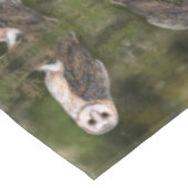 Nappe Hibou Occidental (Angle)