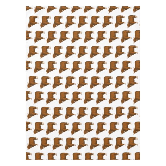 Nappe Highland cow (Devant)