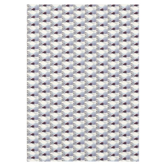 NAPPE HIVER SUR LE PONT COUVERT (Devant)