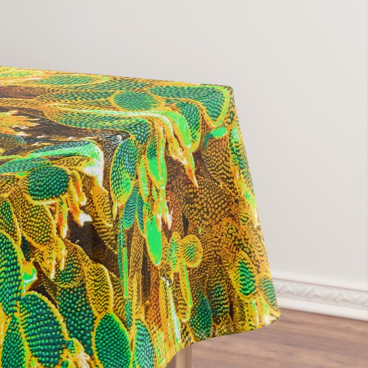 Nappe Hot Africa Desert Cactus Plantes Prickly Pear (In Situ)