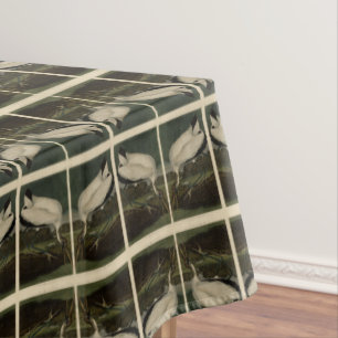 Nappe Ibiss En Bois (Ibis, Stork) : Audubon Birds of Ame