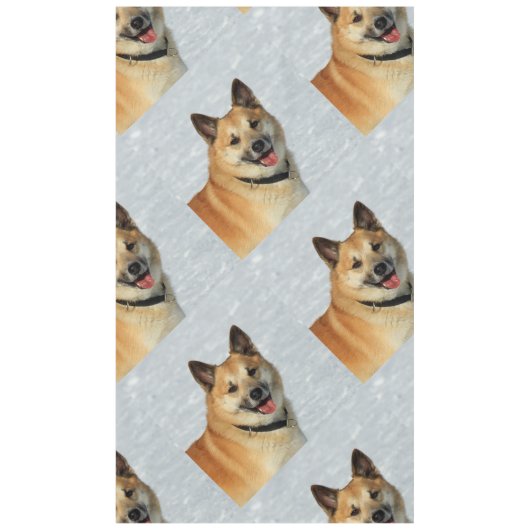 Nappe IcelandicSheepdog20150904 (Devant)