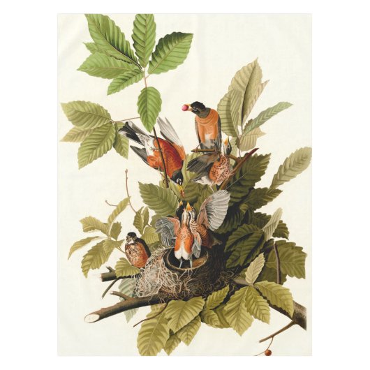 Nappe Illustration Audubon American Robin Wildlife Bird (Devant)