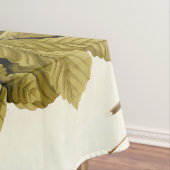 Nappe Illustration Audubon American Robin Wildlife Bird (In Situ)