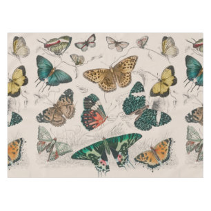 Nappe Illustration de papillon antique : 1820 Orfèvre