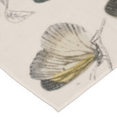 Nappe Illustration de papillon antique : 1820 Orfèvre (Angle)