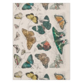 Nappe Illustration de papillon antique : 1820 Orfèvre (Devant)
