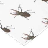 Nappe Illustration du scarabée de stade (Angle)