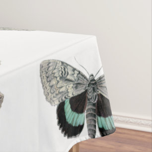 Nappe Illustration vintage du moth