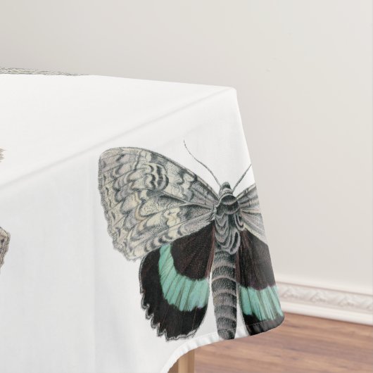 Nappe Illustration vintage du moth (In Situ)