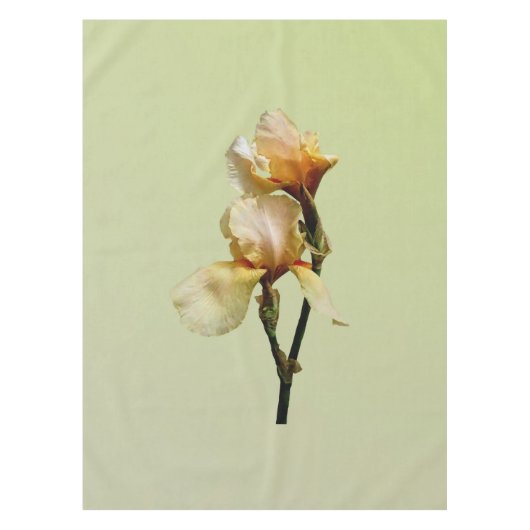 Nappe Irises colorées (Devant)