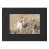 Nappe Jeune lion (Devant (Horizontal))