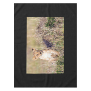 Nappe Jeune lion