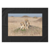Nappe Jeunes lions (Devant (Horizontal))