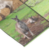 Nappe Kangaroo Photo Collage, (Angle)
