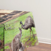 Nappe Kangaroo Photo Collage, (In Situ)