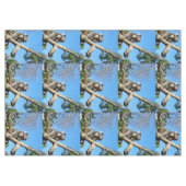 Nappe Koala A Le Temps De Réfléchir À La Vie, (Devant (Horizontal))