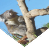 Nappe Koala A Le Temps De Réfléchir À La Vie, (Angle)