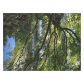 Nappe Koi Pond (Devant (Horizontal))