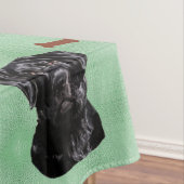 Nappe Labrador Retriever (In Situ)