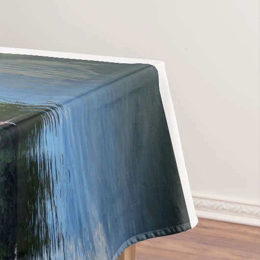 Nappe Lady Bird Lake Panorama - Austin - Texas (In Situ)