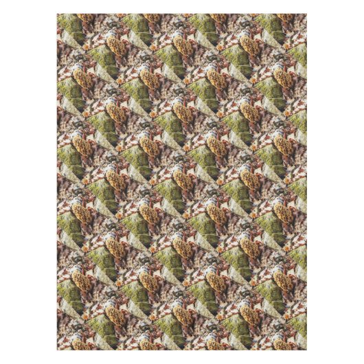 Nappe Le champignon Morel dans la nature (Devant)