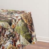 Nappe Le champignon Morel dans la nature (In Situ)