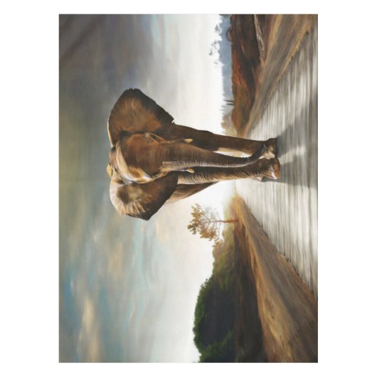 Nappe L'éléphant (Devant)