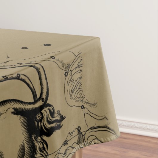 Nappe Leo Constellation Hevelius 1690 Juillet23 - Août 2 (In Situ)