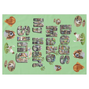 Nappe Les Chiens Font Chanter Mon Coeur,