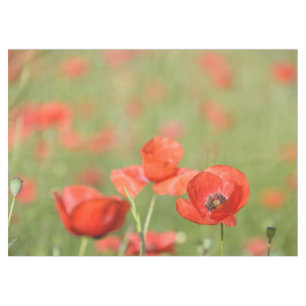 Nappe Les pavots rouges vibrants dans un pavot vert