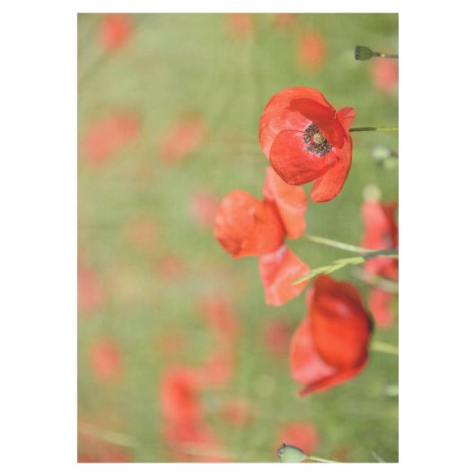 Nappe Les pavots rouges vibrants dans un pavot vert (Devant)