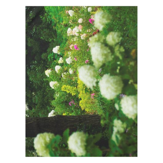 Nappe Limelight Hydrangeas dans My Rubio Garden (Devant)