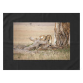 Nappe Lioness stretching (Devant (Horizontal))