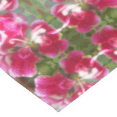 Nappe Lodovica (Angle)