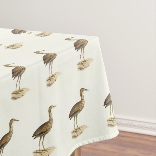 Nappe L'oiseau de Bittern américain (Botaurus lentiginos (In Situ)