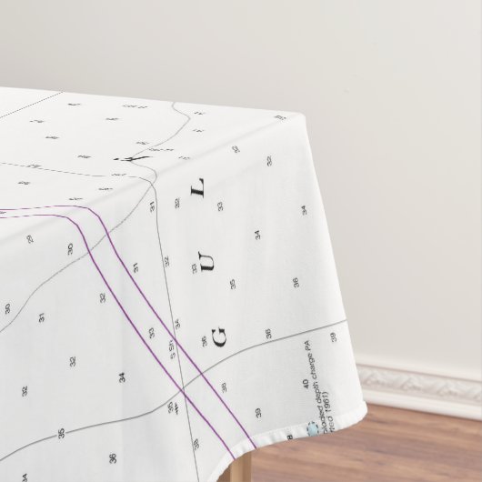 Nappe Longitude marine Latitude Punta Gorda Floride (In Situ)