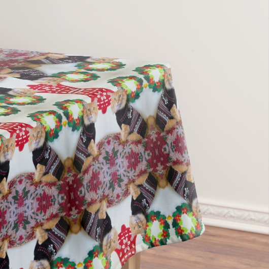 Nappe Maine Guy Ier (In Situ)