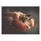 Nappe Malinoi Belge Avec Noël Festif Du Père Noël (Devant (Horizontal))