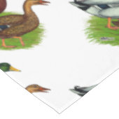 Nappe Mallard Drake et Duck (Angle)