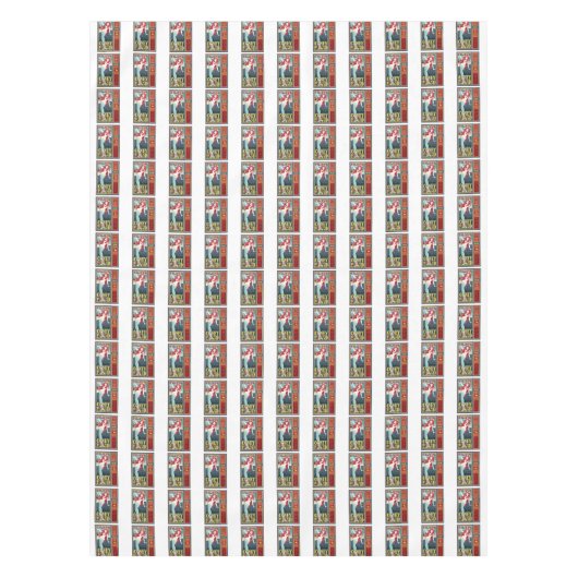 Nappe mermaides de coney island (Devant)