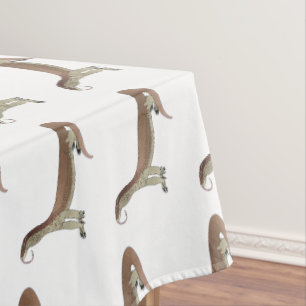 Nappe Monitor lizard