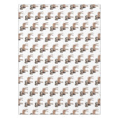 Nappe Mouflon goat illustration  (Devant)
