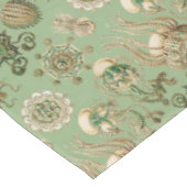 Nappe Narcomedusae d'Ernst Haeckel (Angle)