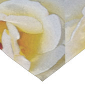 Nappe nuances de blanc au jaune (Angle)