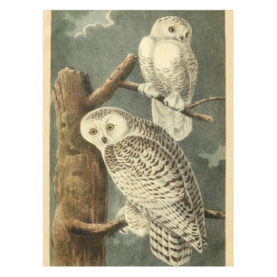 Nappe OEuvre d'OEuf Audubon