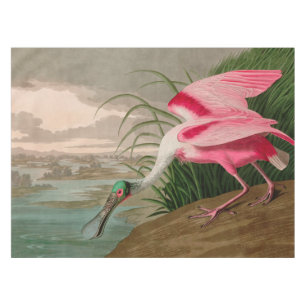 Nappe Oiseaux d'Amérique de spatule de rose Audubon Imp