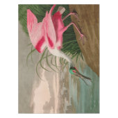 Nappe Oiseaux d'Amérique de spatule de rose Audubon Impr (Devant)