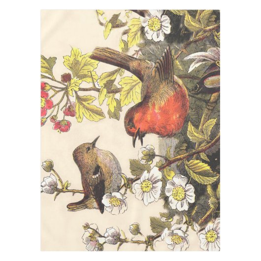 Nappe Oiseaux de printemps Robin Oiseaux rouges (Devant)